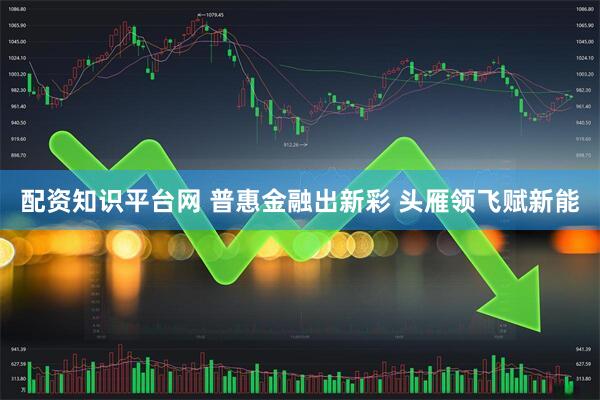 配资知识平台网 普惠金融出新彩 头雁领飞赋新能